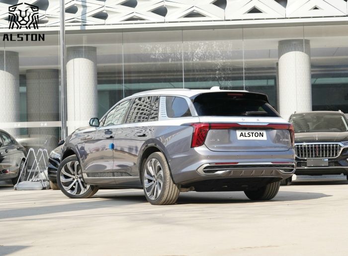 Hongqi E-HS9 660km 4 Seats (2)