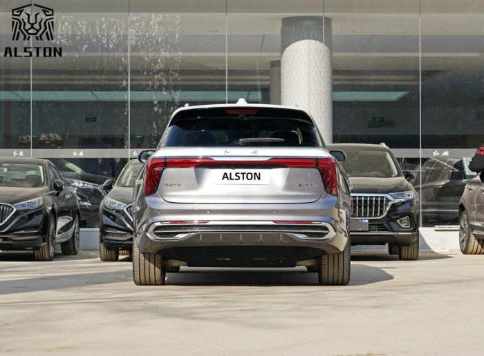 Hongqi E-HS9 660km 4 Seats (6)