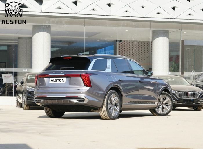 Hongqi E-HS9 660km 6 Seats (4)