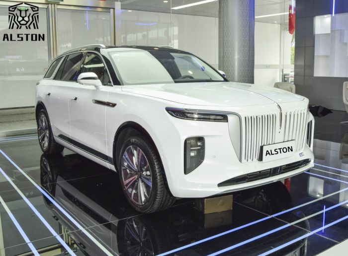 Hongqi E-HS9 690km 6 Seats (13)