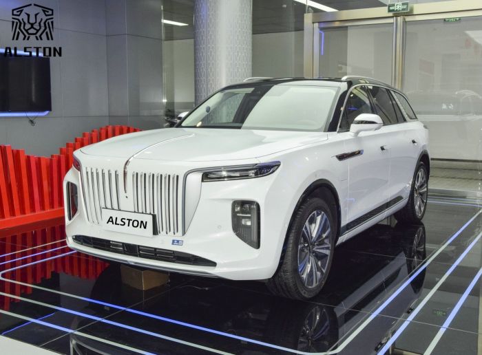 Hongqi E-HS9 690km 6 Seats (8)