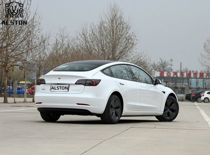 Model 3 rear-wheel drive (6)