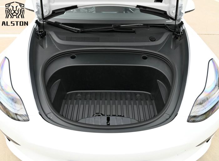 Model 3 rear-wheel drive (8)