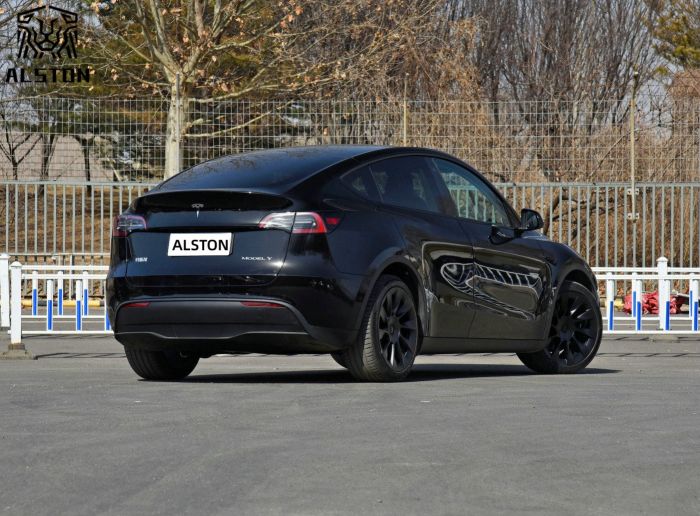 Model Y 545km rear wheel drive (2)