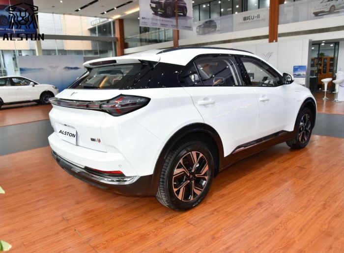 Neta U-Ⅱ 401km (3)