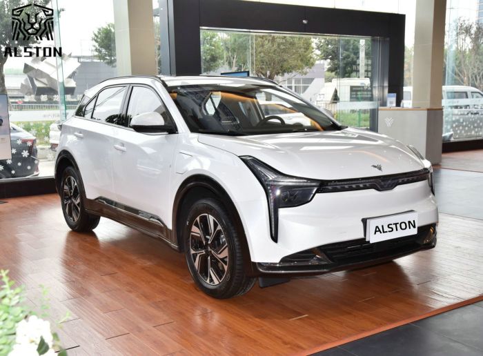 Neta U-Ⅱ 401km (5)