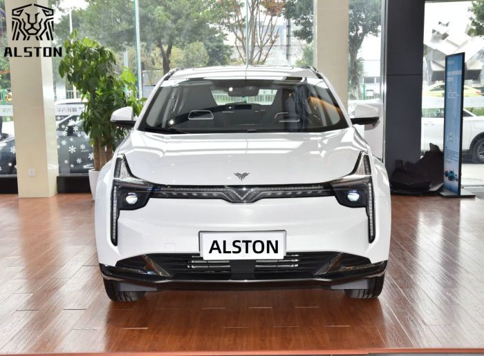 Neta U-Ⅱ 401km (6)