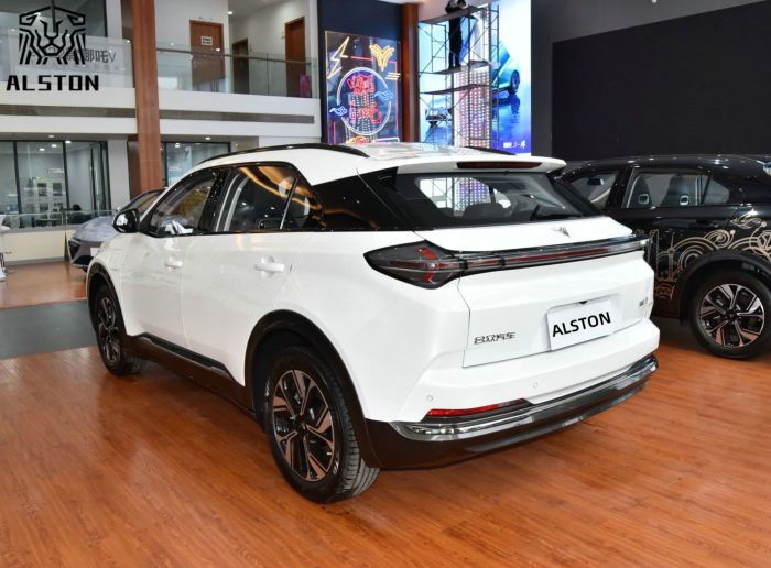 Neta U-Ⅱ 401km (7)