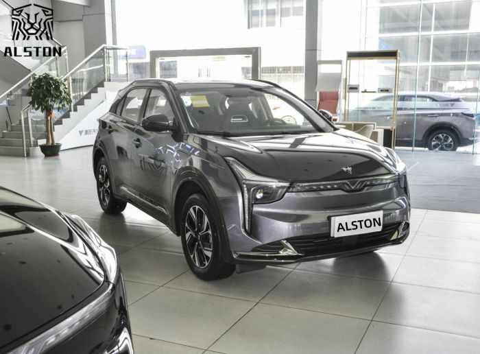 Neta U-Ⅱ 501km (6)