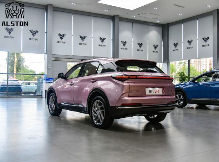 Neta U-Ⅱ 610km Premium (15)