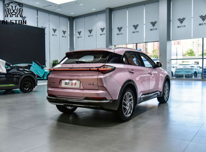 Neta U-Ⅱ 610km Premium (16)