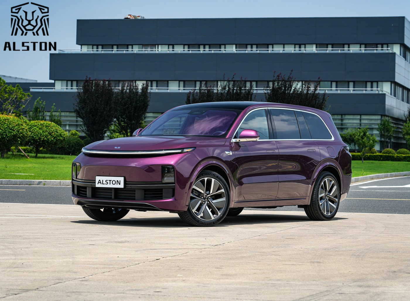 紫色外观 理想L9 2023款 Pro (3)